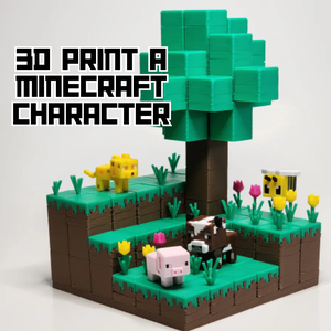 3D Print a Minecraft